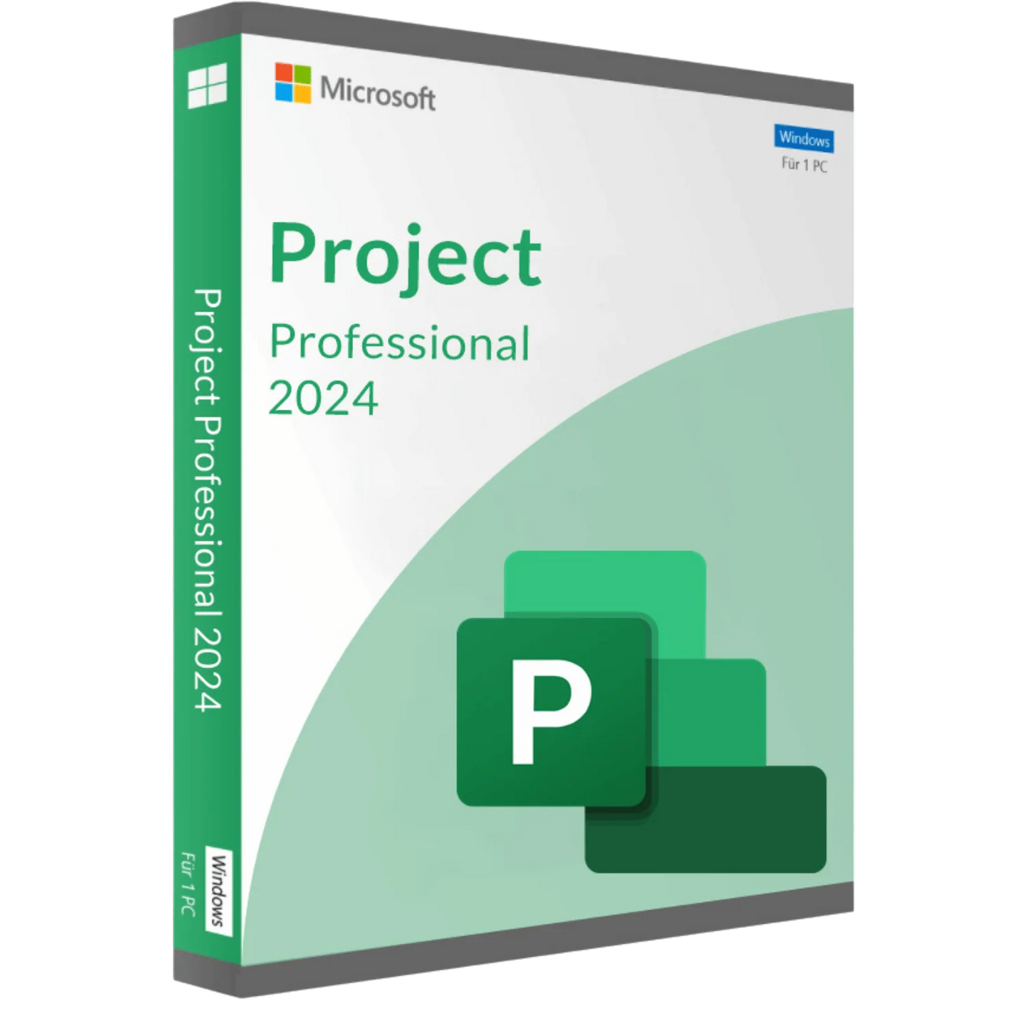 Microsoft Project 2024 Professional